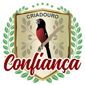 Contato | Criadouro Confiança - Curió Praia Clássico Rio Verde/GO